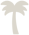 A picture of a palm tree.